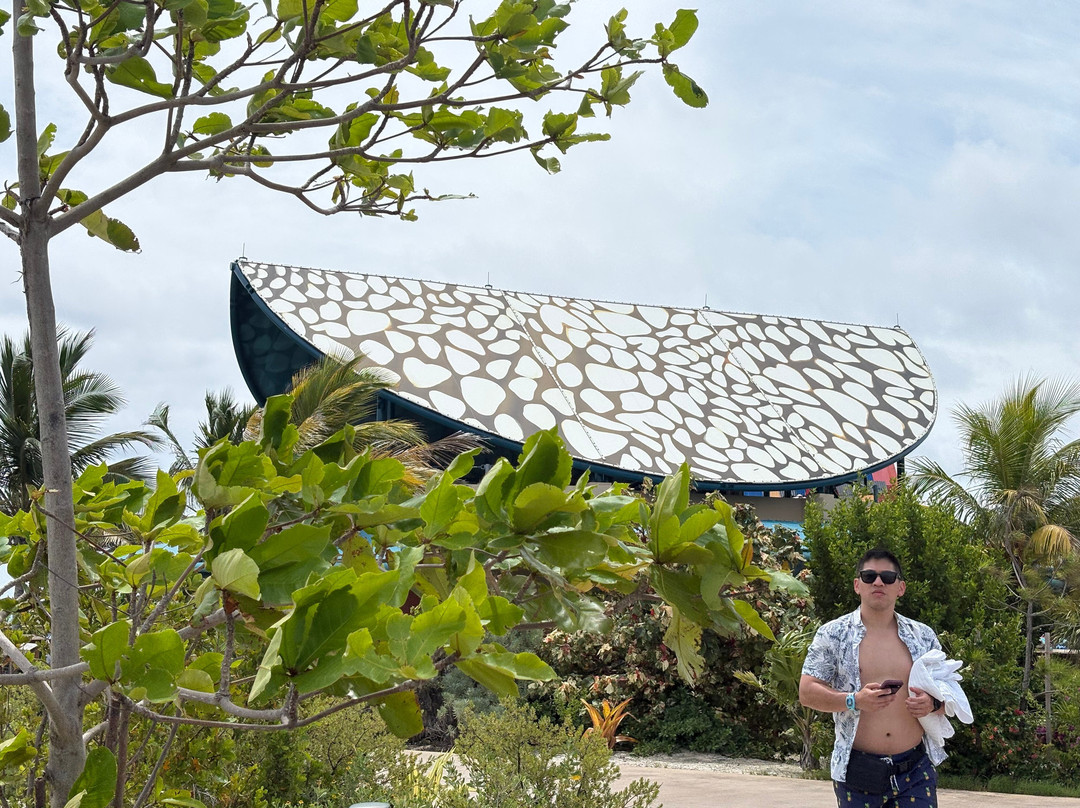 Disney Lookout Cay at Lighthouse Point-伊柳塞拉必去景点
