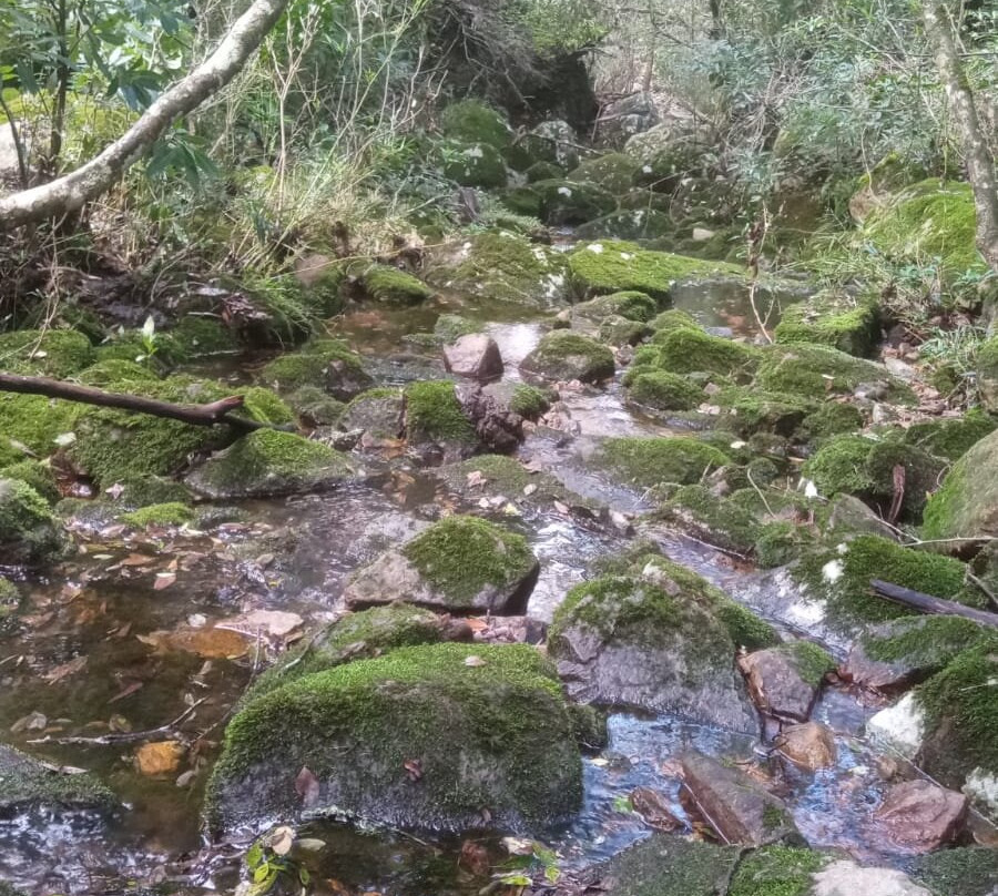 Paseo Sierra de Las Animas-Maldonado必去景点