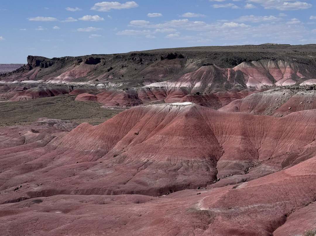 Painted Desert-石化林国家公园必去景点