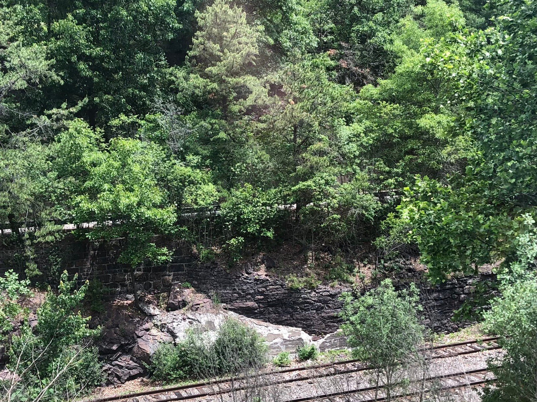 Lehigh Gorge Scenic Railway-吉姆索普必去景点