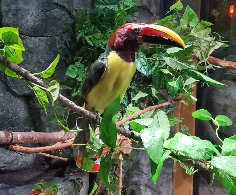 Johnny Morris' Wonders of Wildlife National Museum and Aquarium-斯普林菲尔德必去景点