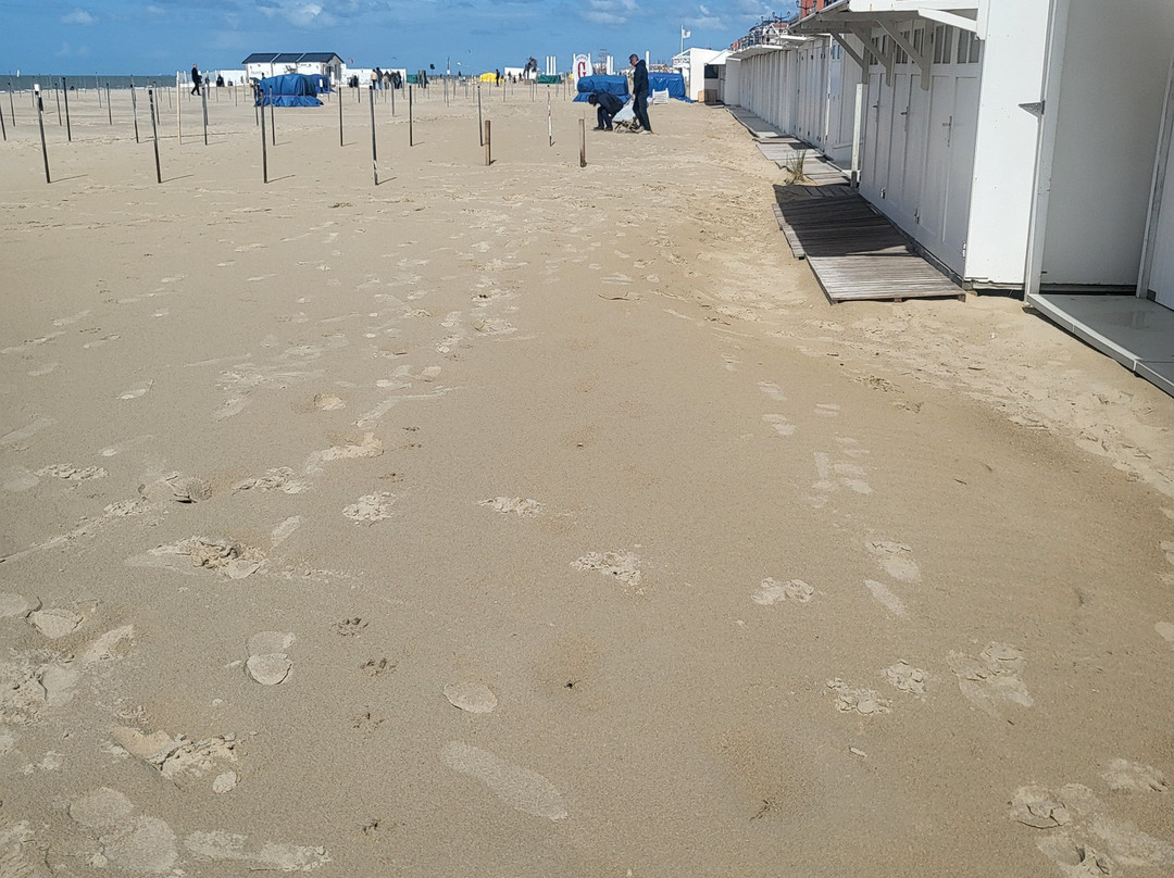 Beach De Haan-德韩必去景点
