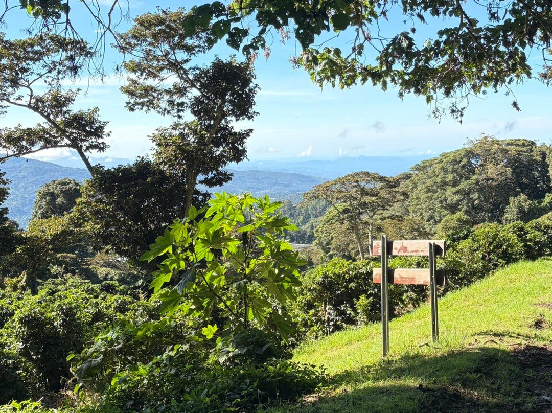 Finca Lérida-波魁特必去景点