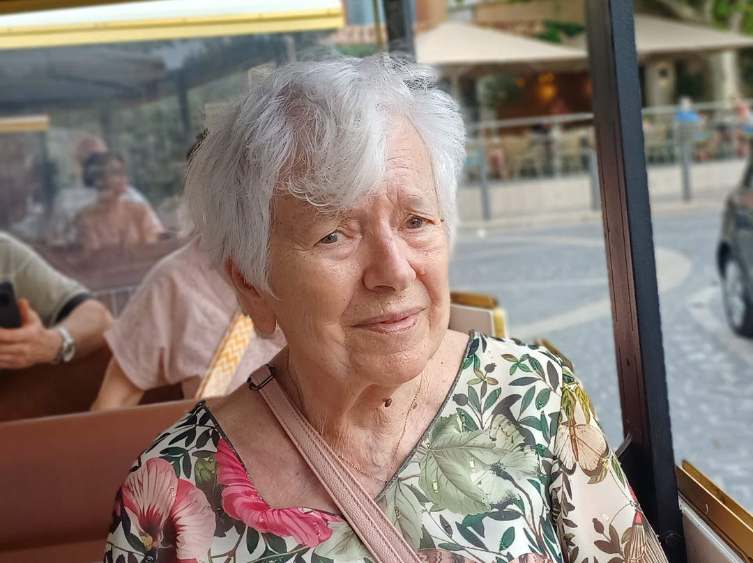 Le petit train touristique de Cassis - by FRANCE Voguette-卡西斯必去景点