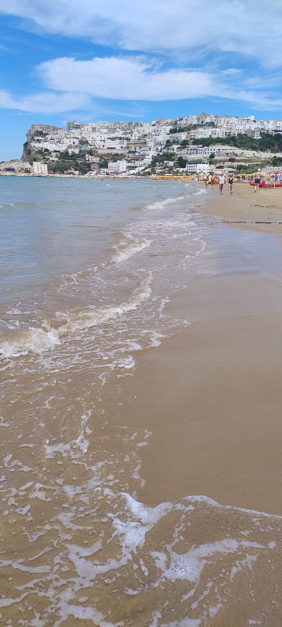 Hotel Sirena - Servizio Spiaggia Inclusive-旅行者