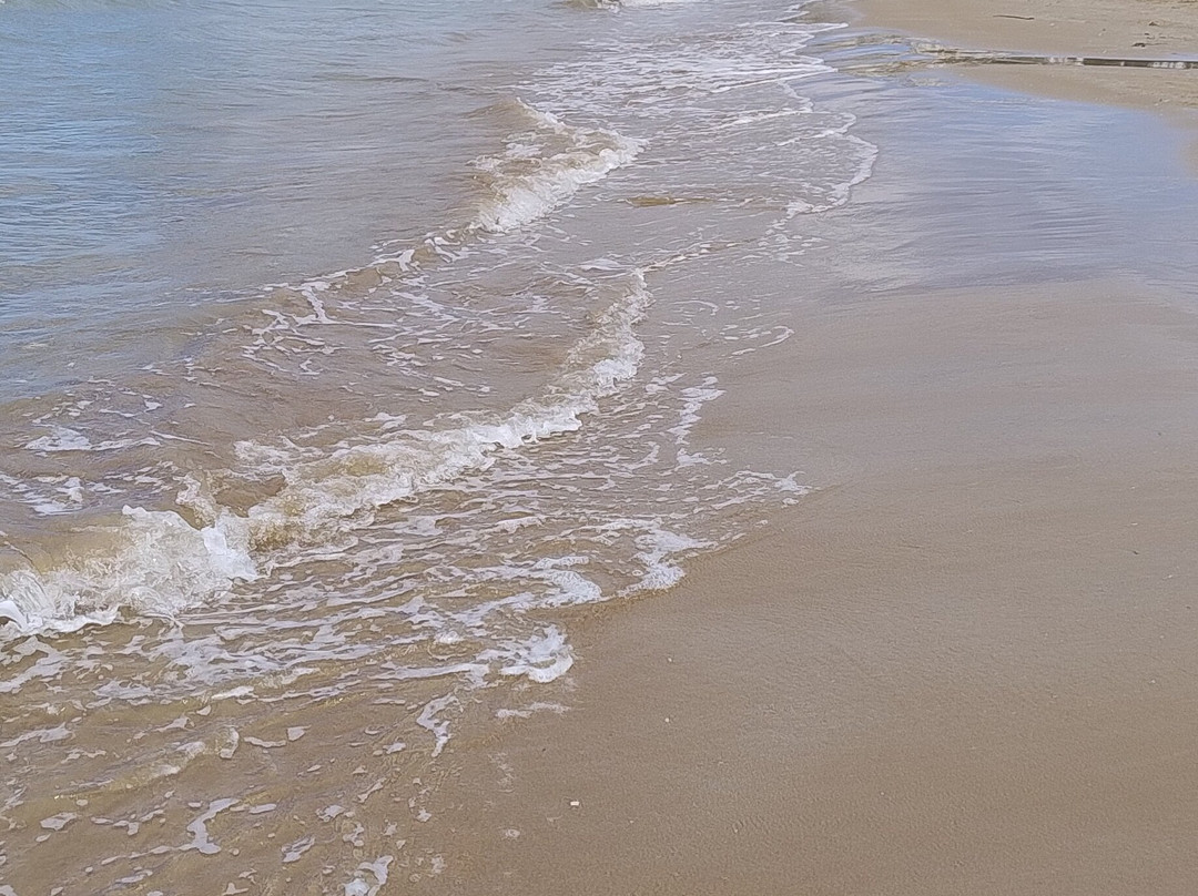 Hotel Sirena - Servizio Spiaggia Inclusive主图