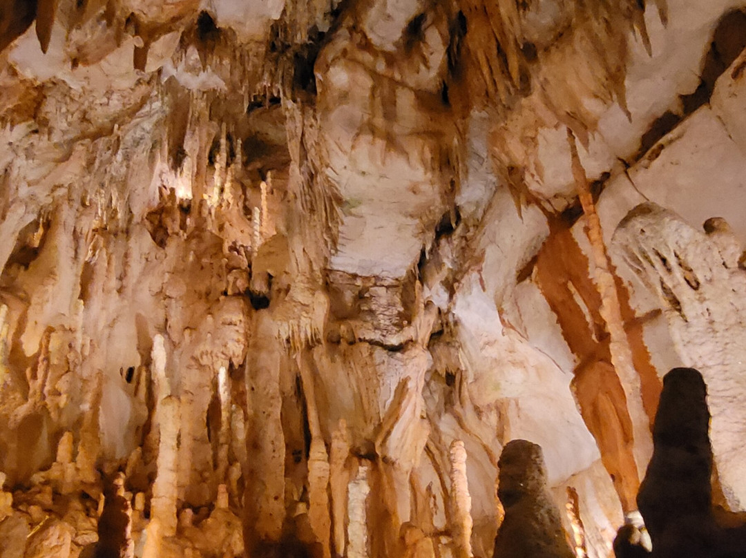 Grutas da Moeda-Sao Mamede必去景点