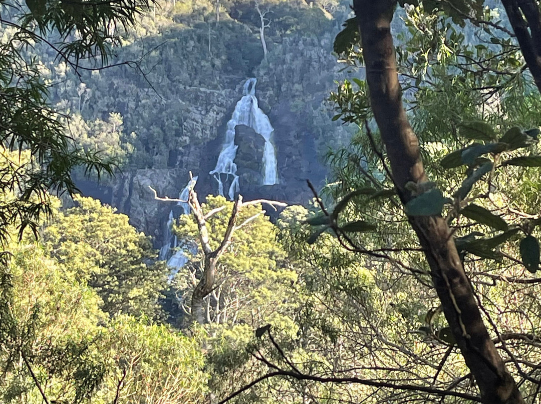 St Columba Falls Reserve-Pyengana必去景点