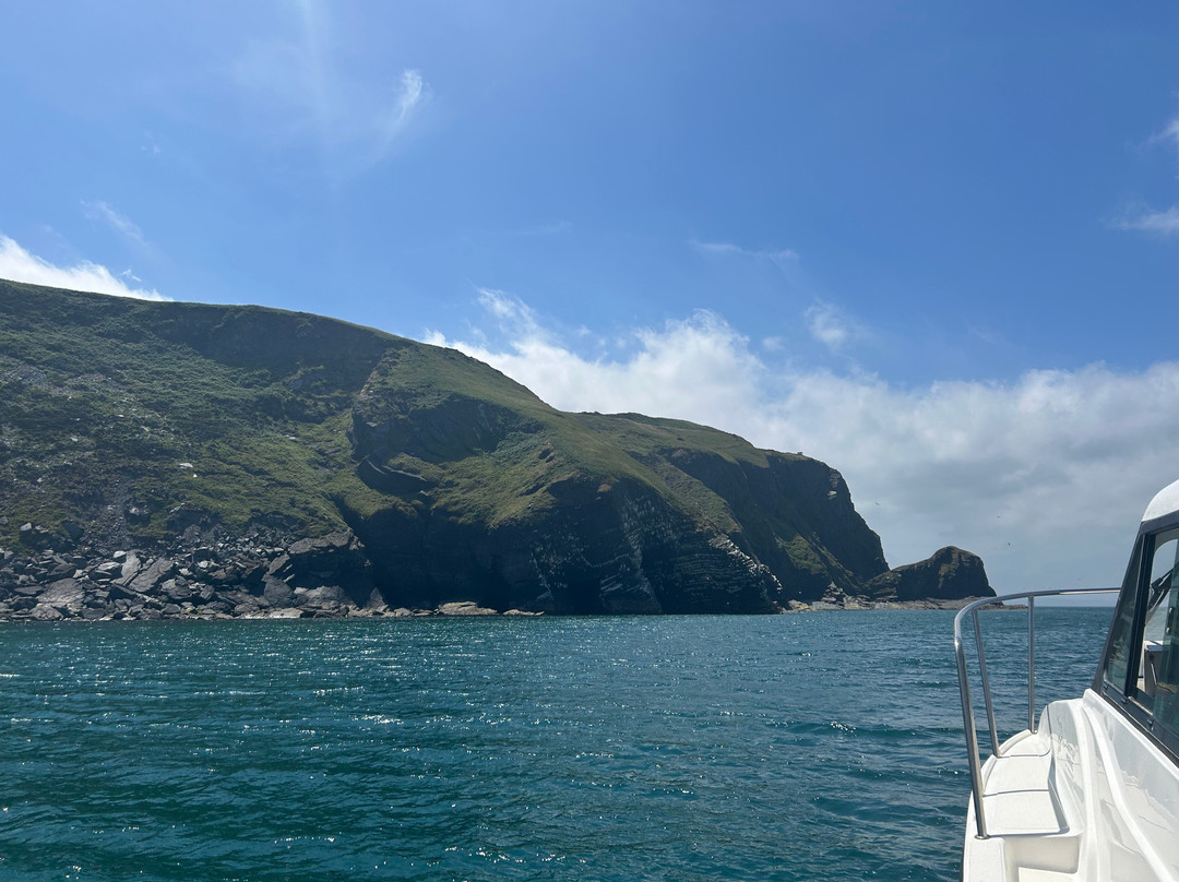 Dolphin Survey Boat Trips-纽基必去景点