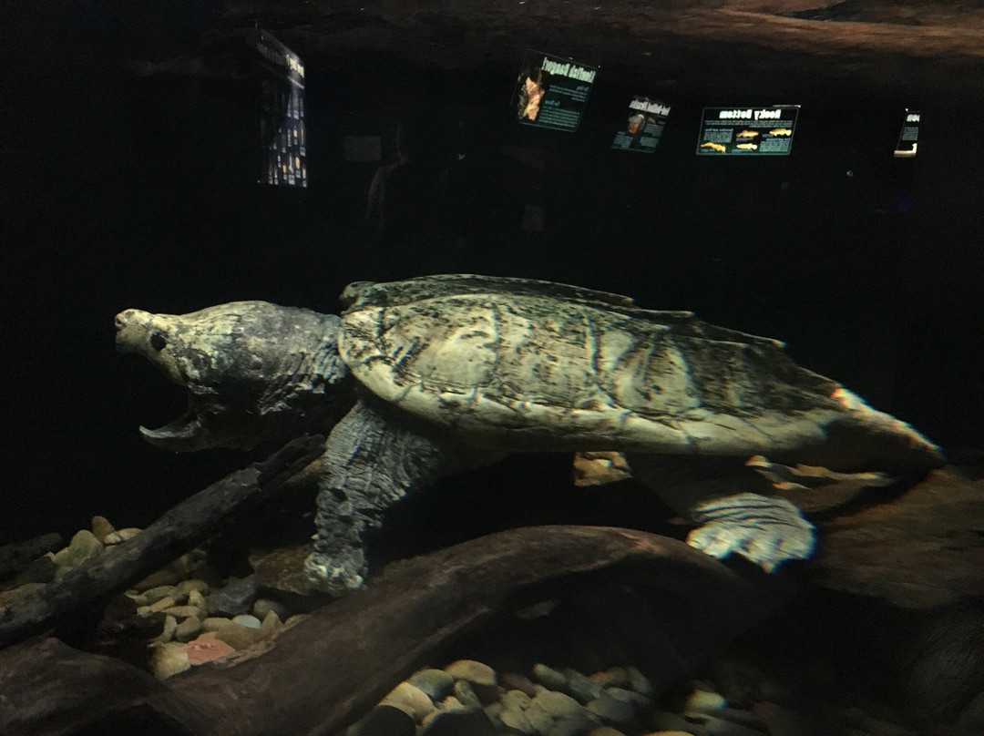 Oklahoma City Zoo and Botanical Garden-俄克拉何马城必去景点