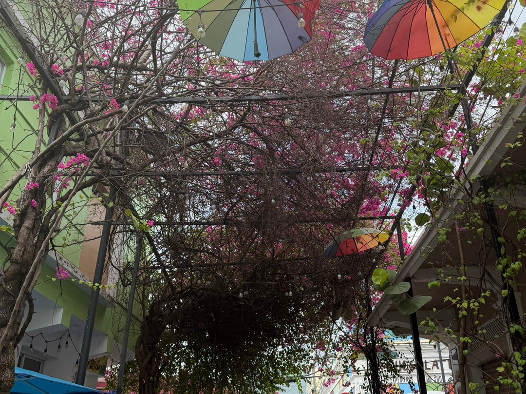 Umbrella Street-普拉塔港必去景点