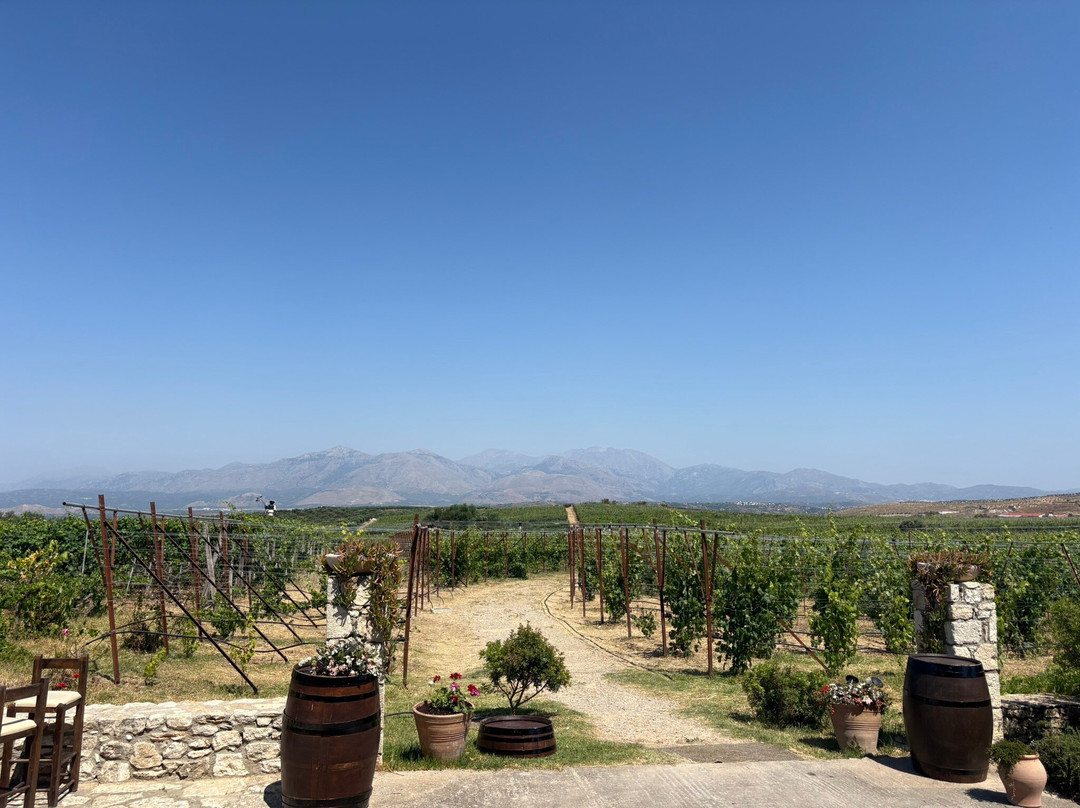 Lyrarakis Winery-伊拉克利翁必去景点