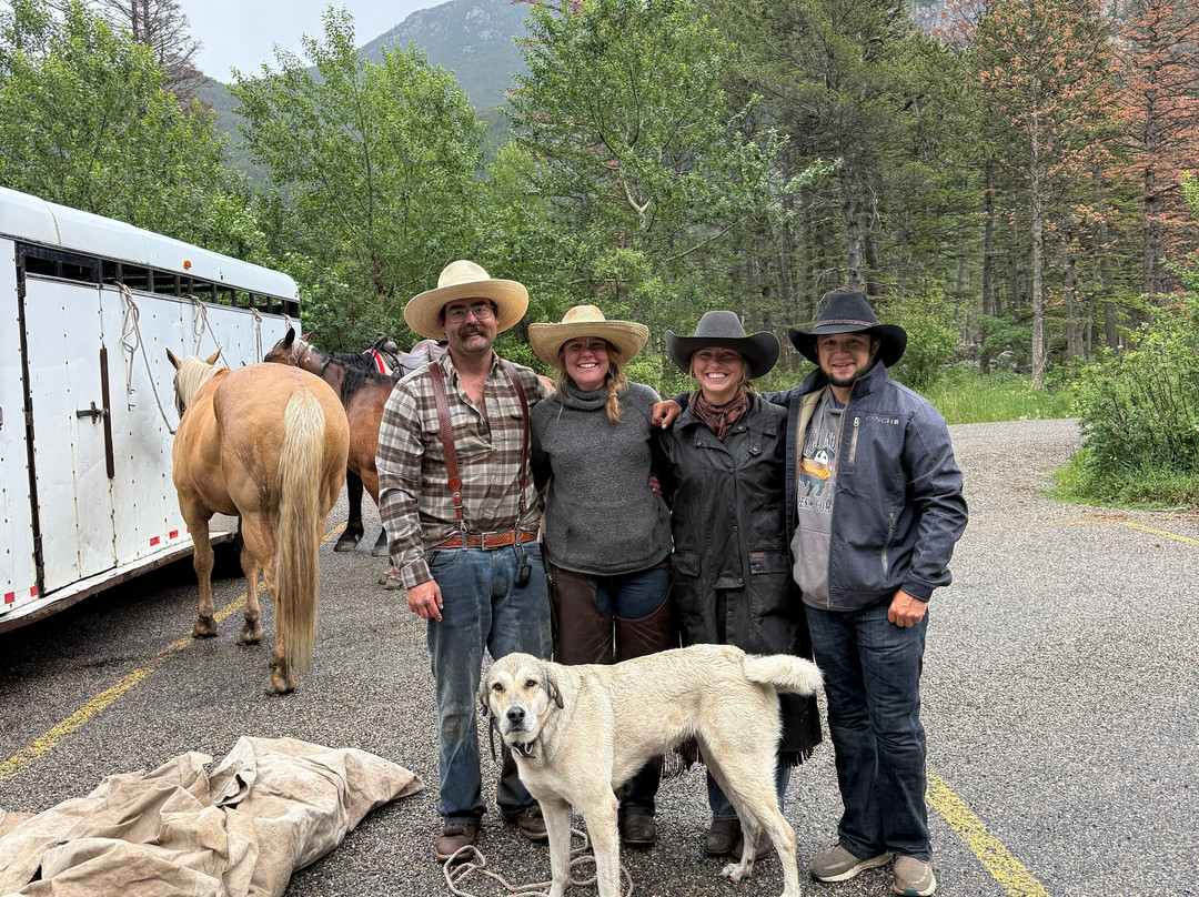 Yellowstone Horse And Mule-雷德洛治必去景点