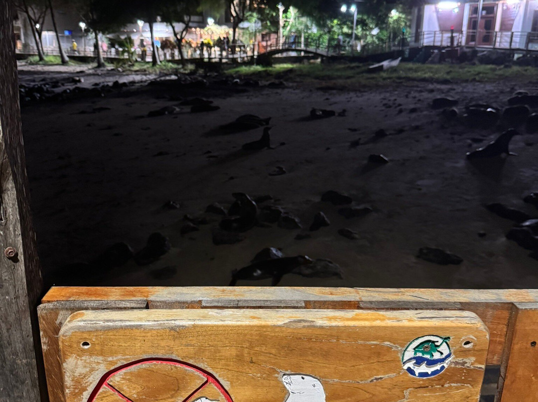 Malecón San Cristobal-圣克里斯托瓦尔必去景点