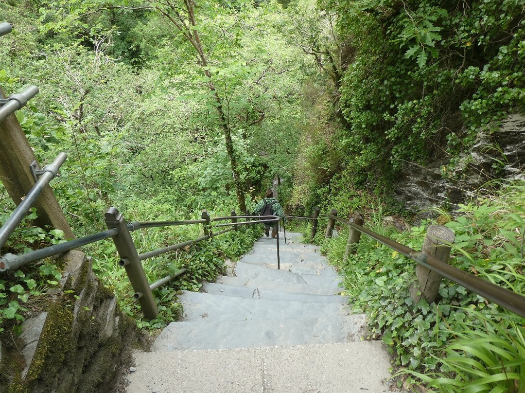 Devil's Bridge Waterfalls-Devil's Bridge (Pontarfynach)必去景点