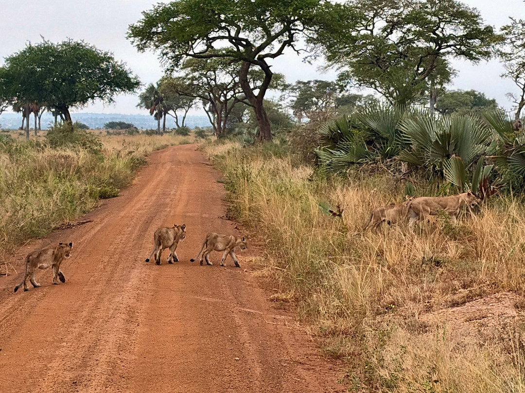 Africa Reveal Safaris-Namugongo必去景点