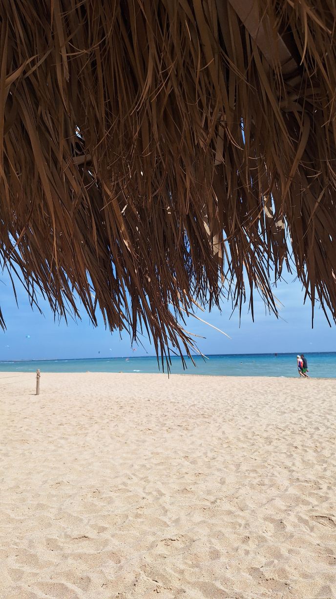 Shams Lodge for Watersports-旅行者