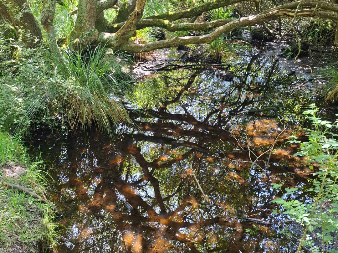 Réserve Naturelle Régionale des Étangs du Loch-吉代必去景点
