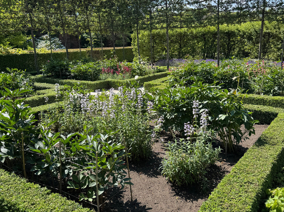The Alnwick Garden-阿尼克必去景点