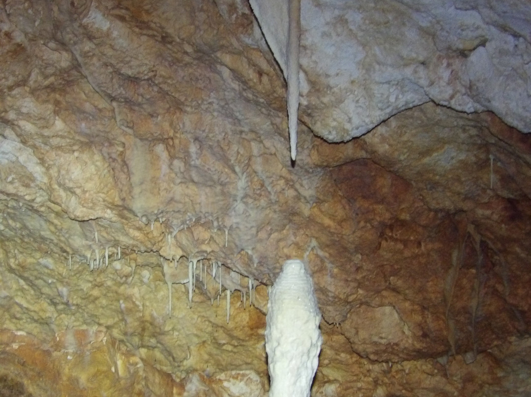 Aven Grotte Forestière-Orgnac-l'Aven必去景点