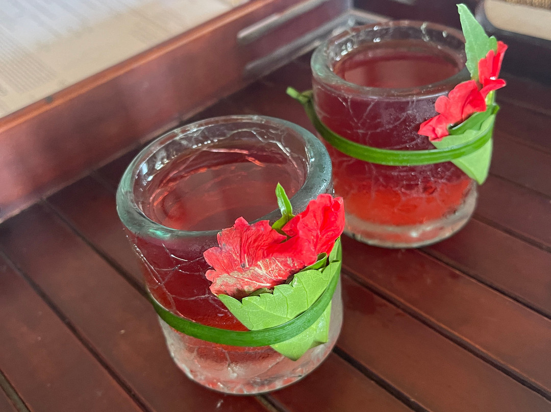 Svaha Spa Dedary by Svaha Wellness-Kenderan必去景点
