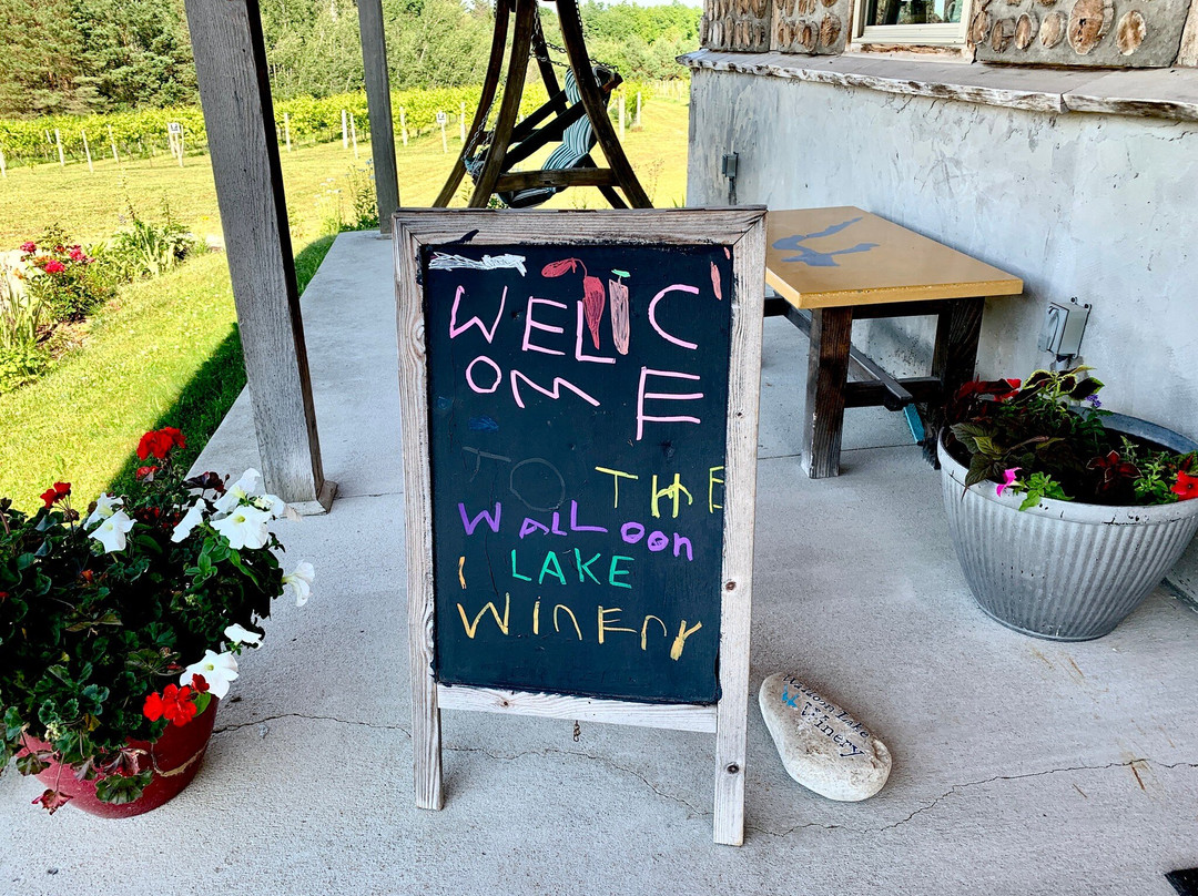 Walloon Lake Winery-皮托斯基必去景点