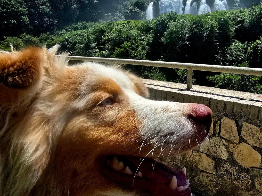 Cascata delle Marmore-Marmore必去景点