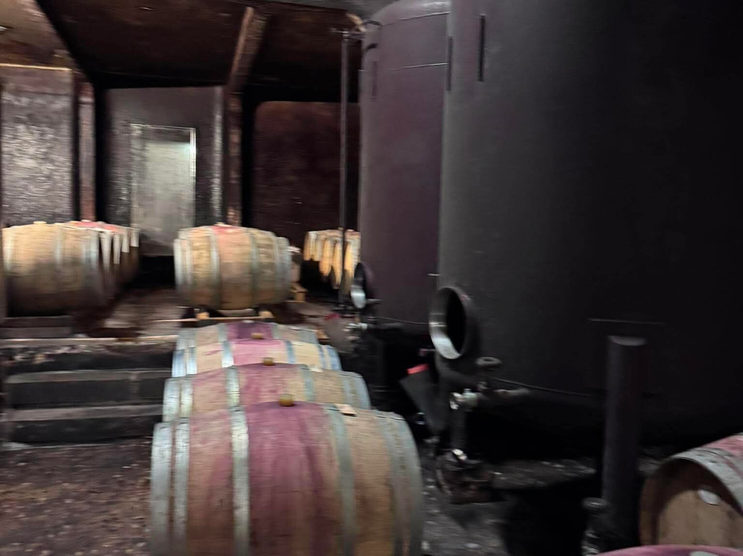 Cantina Marco Donati-Mezzocorona必去景点