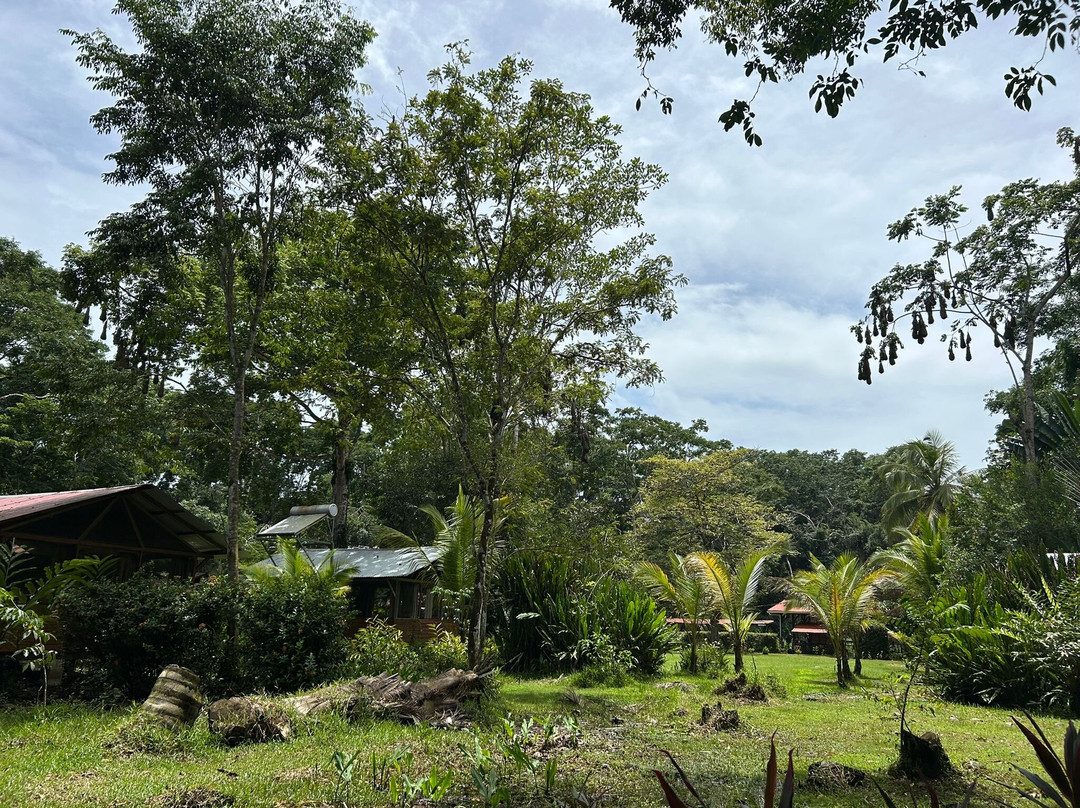 Lirio Lodge-托图杰多必去景点