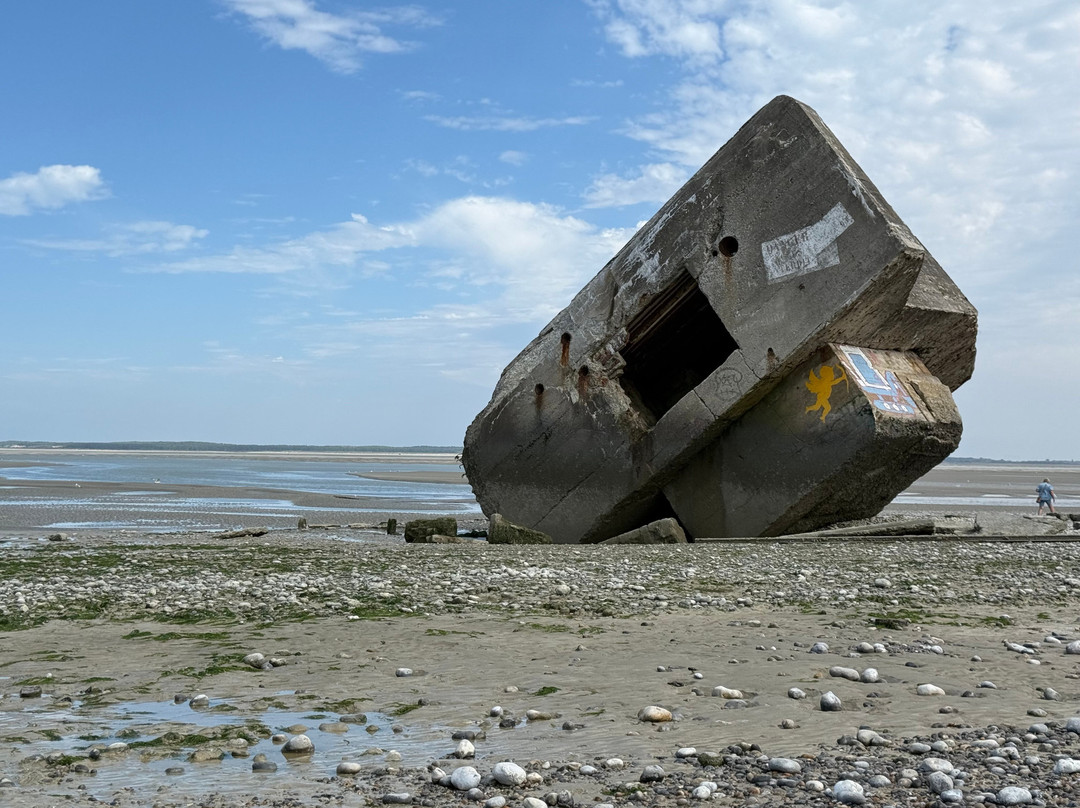 Baie de Somme-Somme必去景点