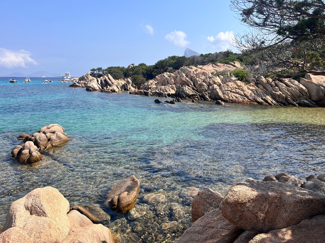 Spiaggia Delle Vacche-Baia Sardinia必去景点