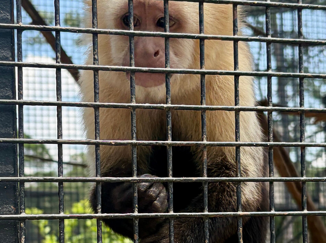 Beavers Bend Safari Park-Hochatown必去景点