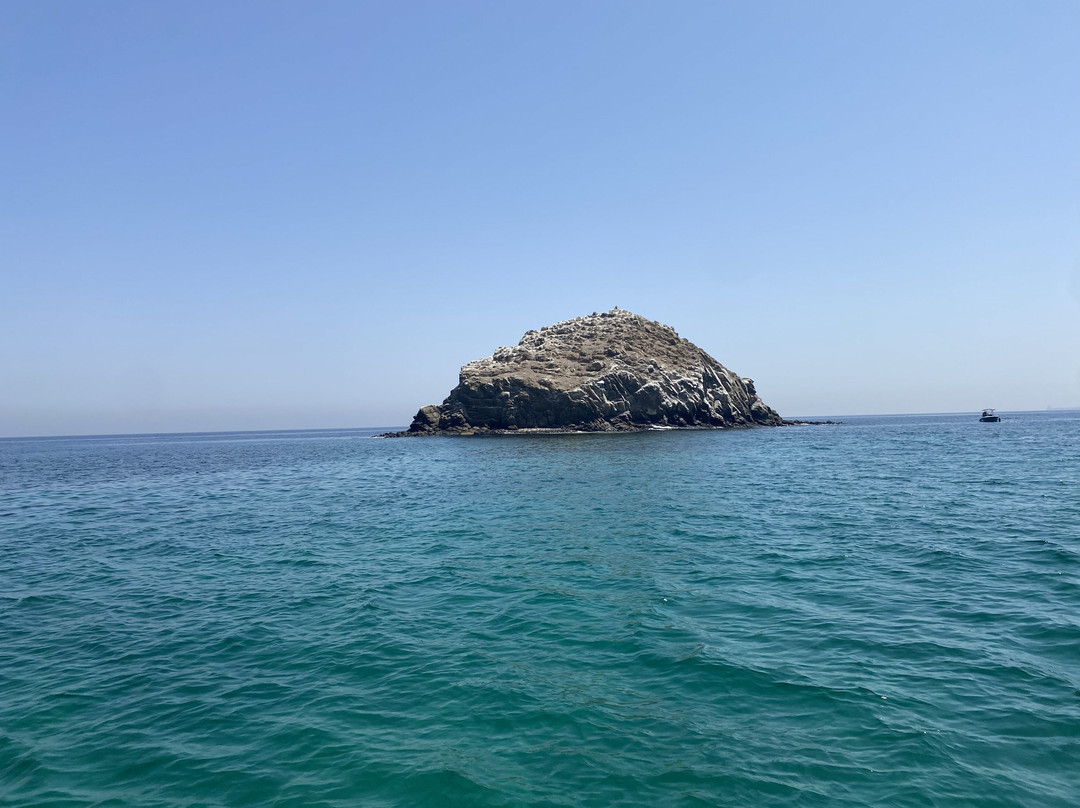Nemo Diving Center - Fujairah-Dibba Al Fujairah必去景点