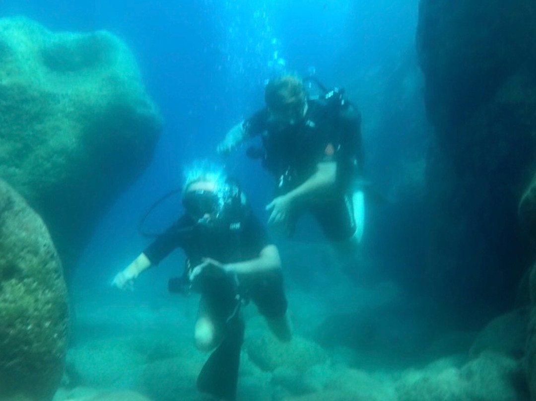 Royal Octopus DIVE CENTER-Kolymbari必去景点