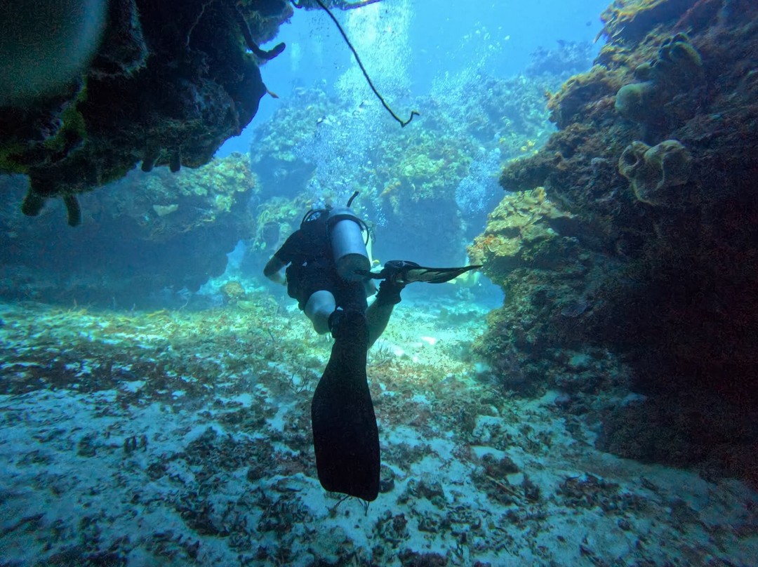 The Reef Marina-普拉亚德尔卡曼必去景点