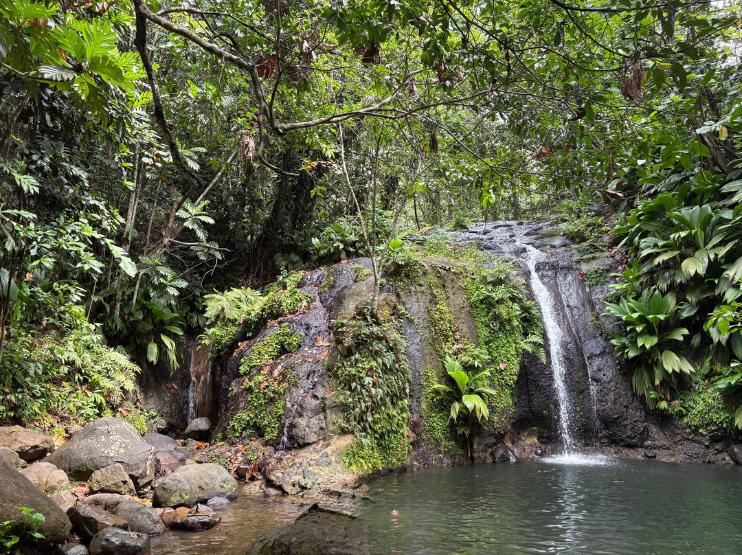 La Cascade de Bis