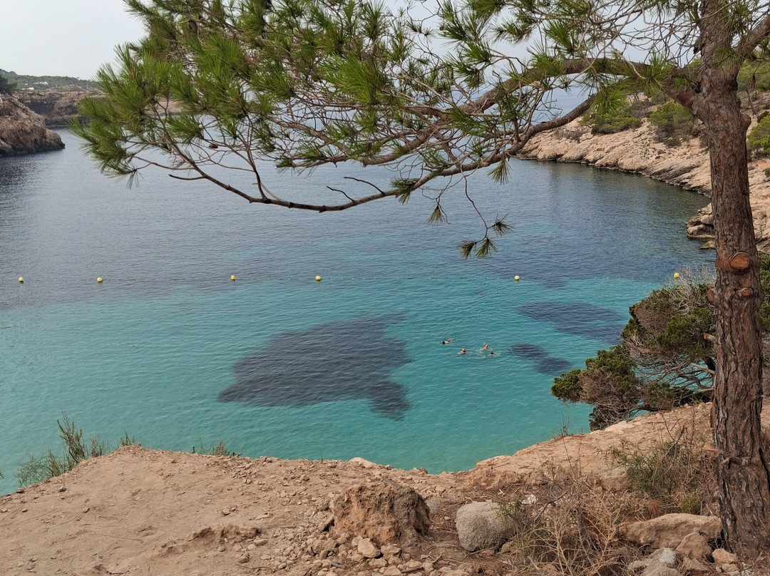 Cala Saladeta-圣安东尼德波特曼尼必去景点