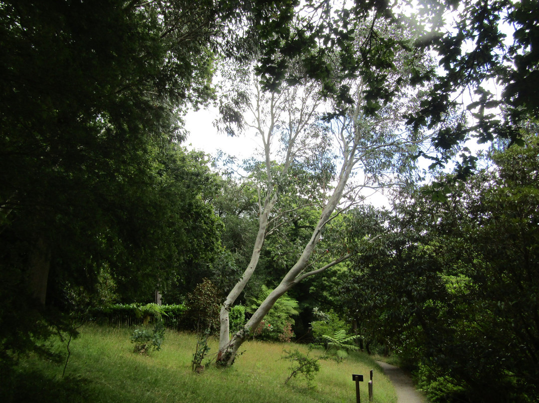 Glendurgan Garden-法尔茅斯必去景点