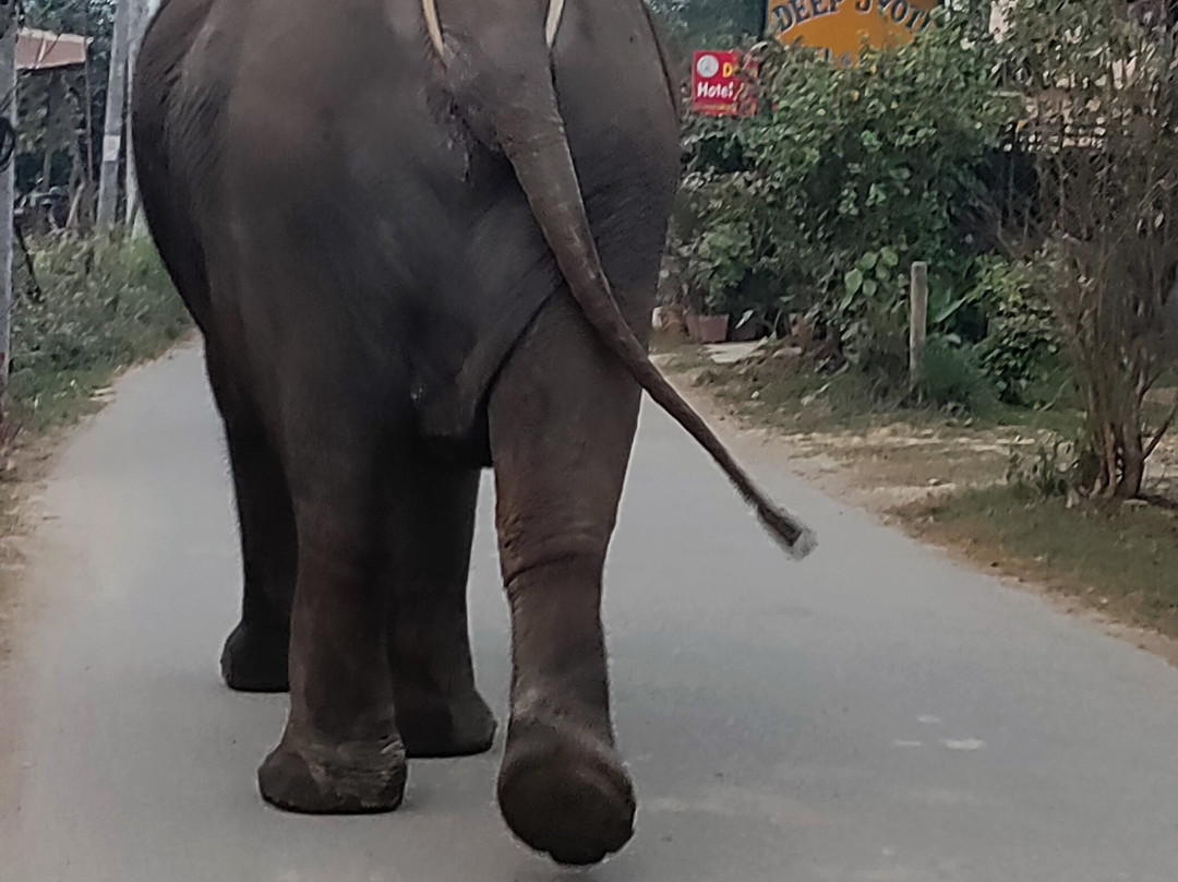 Chitwan Tharu Village-苏拉哈必去景点