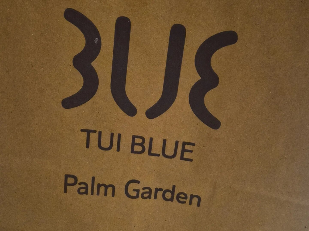 TUI蓝棕榈园度假村主图