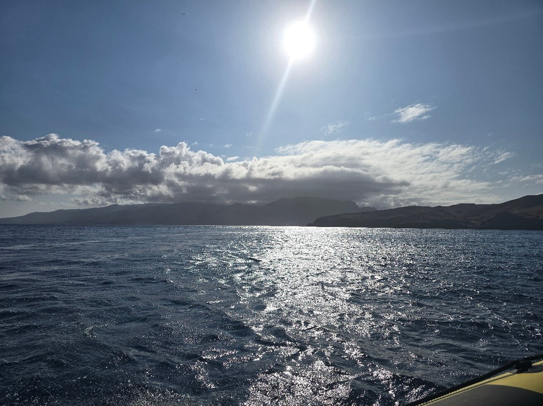 Madeira Sea Emotions Boat Tours-卡尼卡尔必去景点