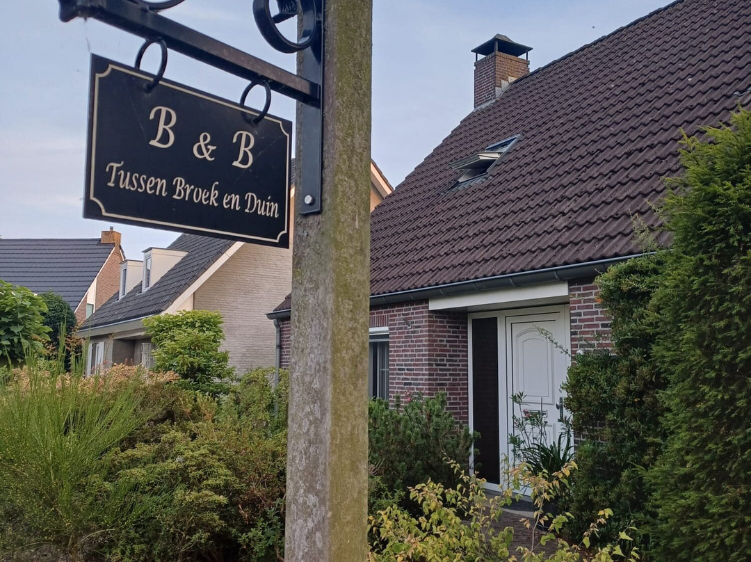 B&B Tussen Broek en Duin主图