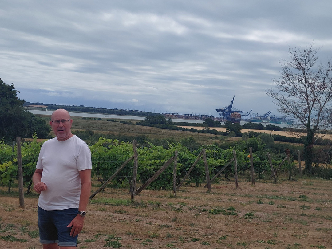 Shotley Vineyard-伊普斯威奇必去景点