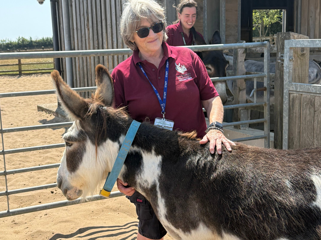 The Donkey Sanctuary-西德茅斯必去景点
