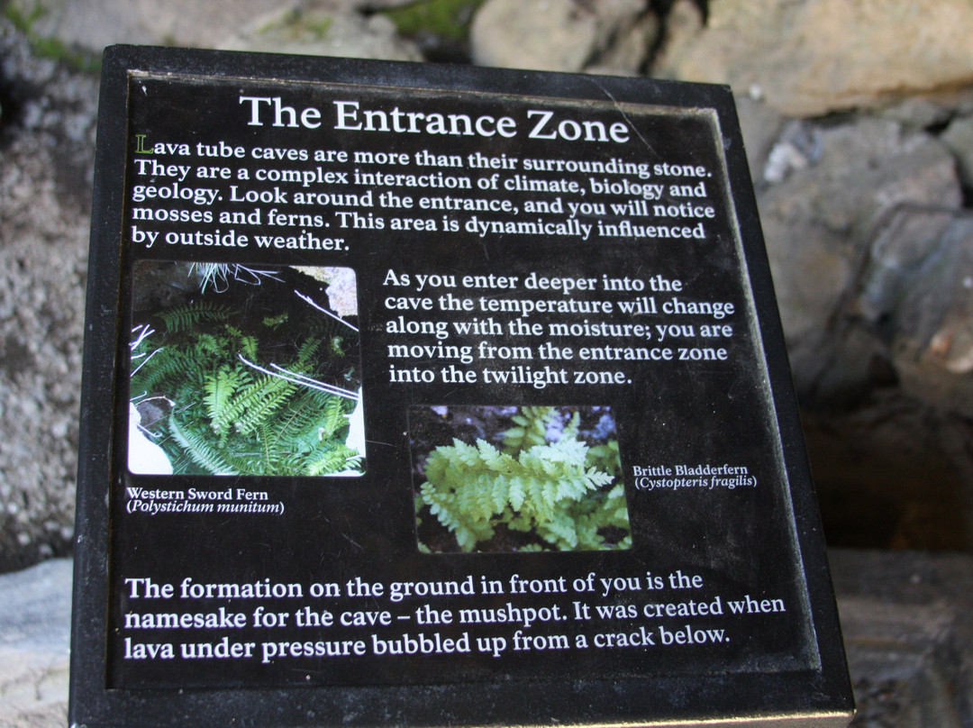 Lava Beds National Monument-Tulelake必去景点