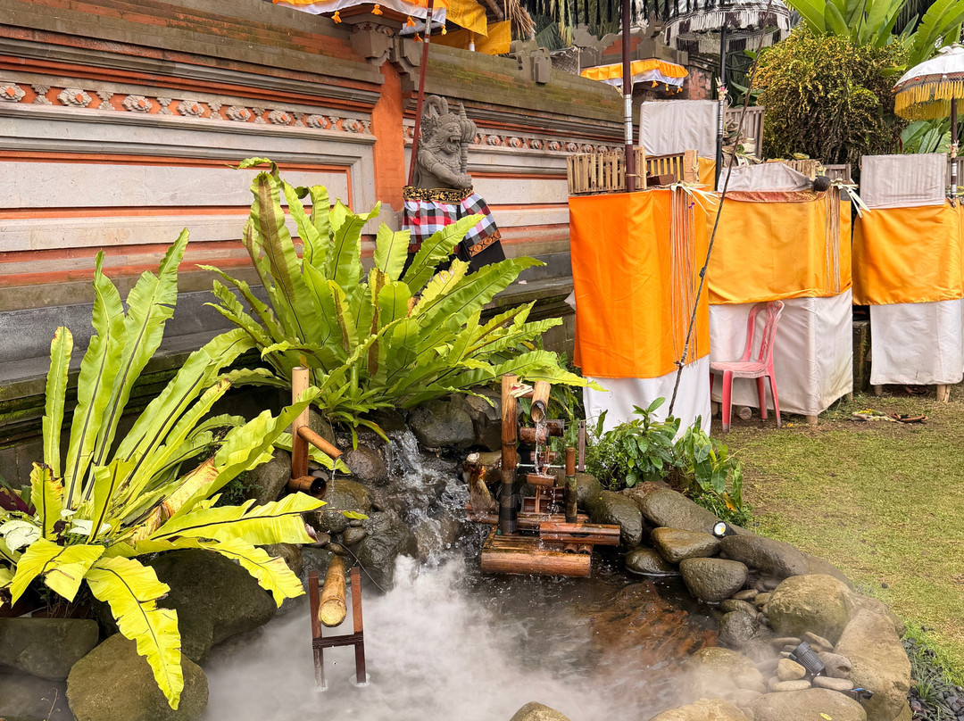Bali Guide Francophone-登巴萨必去景点