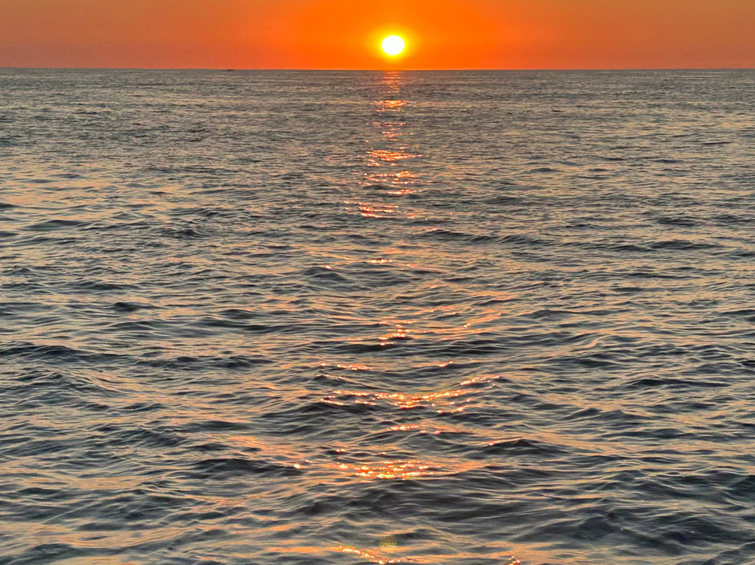 Island RIB Voyages-St Catherine's必去景点
