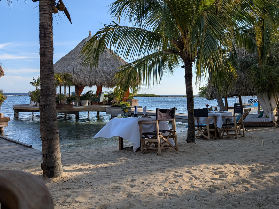 Aruba Ocean Villas主图