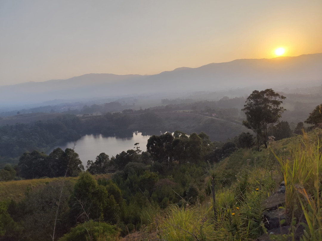 African Jungle Tours and Travel
