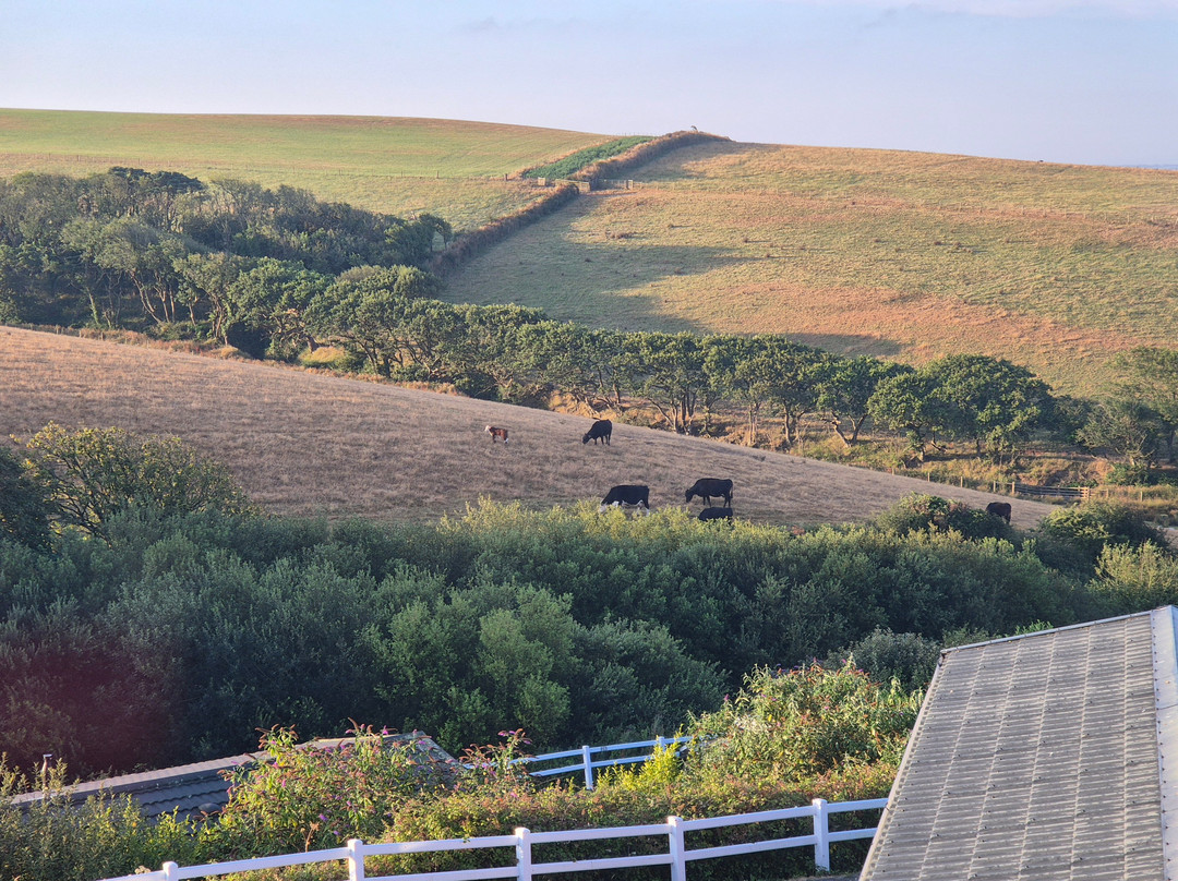Sandymouth Holiday Resort